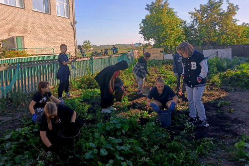 Определены победители и призёры регионального этапа Всероссийского конкурса юных аграриев имени К. А. Тимирязева
